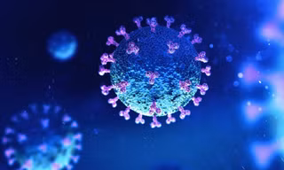 Hình ảnh virus corona. (Ảnh: Shuttlestock)
