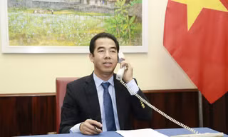 Thứ trưởng Tô Anh Dũng. (Ảnh: Mofa)