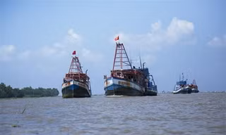 Việt Nam được hưởng các quyền lợi hợp pháp trên biển theo quy định của UNCLOS 1982