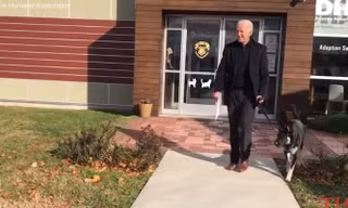 Ông Biden và chú chó Major