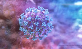 Hình ảnh virus corona gây ra đại dịch COVID-19