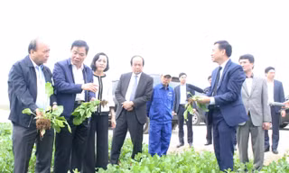 Thủ tướng Nguyễn Xuân Phúc cùng đoàn công tác tại Ninh Bình. Ảnh: N.T