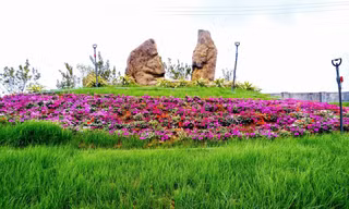 Hàng trăm loại hoa được trồng tại thung lũng hoa Bái Đính. Ảnh: Minh Đức