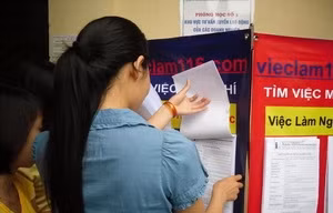 TP Hồ Chí Minh cần tuyển 35.000 lao động