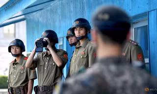 Ở khu phi quân sự giữa Triều Tiên và Hàn Quốc. (Ảnh: Reuters)