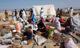 Người dân Afghanistan thu hoạch hạt thông. (Ảnh: Reuters)