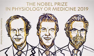 Phác họa chân dung 3 nhà khoa học đạt giải Nobel Y học 2019