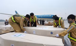 Các thi hài được đưa về sân bay Nội Bài. (Ảnh: BNG)