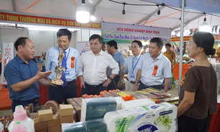 Sản vật muôn nơi quy tụ tại hội chợ công thương Bắc Trung Bộ 