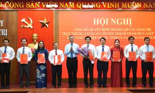 Thành lập, bổ nhiệm lãnh đạo các Đảng bộ, cơ quan chuyên trách, đơn vị trực thuộc Tỉnh ủy Quảng Trị