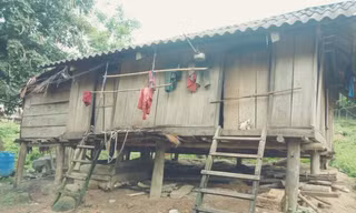 'Bệnh' thành tích lại trỗi dậy sau việc 20 người Mày chạy vào rừng trốn COVID-19?