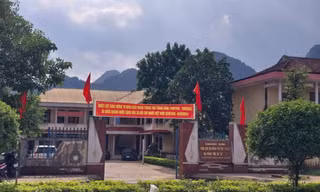 Quảng Bình: Một cán bộ huyện bị bắt vì liên quan sai phạm dự án cây xanh 