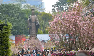 Tổ chức lựa chọn Đại sứ thiện chí hoa anh đào 2019 trong khuôn khổ Lễ hội hoa anh đào Nhật Bản-Hà Nội 2019