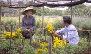 Ông Sơn ngày càng thân thiết với cô Hạnh trồng hoa