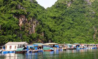Tỉnh Quảng Ninh yêu cầu tạm dừng tăng phí tham quan vịnh Hạ Long