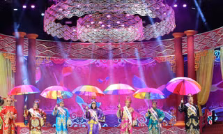 Dàn Táo đông đảo năm 2018