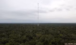 Tháp quan sát được xây dựng trong rừng mưa Amazon, cách thành phố Manaus, Brazil, khoảng 160 km. Tháp cao 335 m và có màu vàng cam sáng, nổi bật giữa những tán rừng phủ xanh dưới mặt đất.