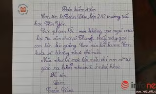 Bản kiểm điểm lời hứa “có một không hai” của học sinh lớp 2