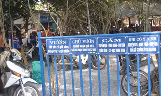 Cảnh ngồi nằm la liệt trong 'khu vườn kỳ lạ' ngày mồng 1 Tết