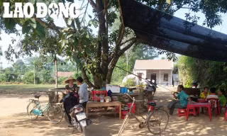 Người dân làng Găng xã Nghĩa Hưng, huyện Nghĩa Đàn đang hoang mang vì tin đồn thất thiệt.