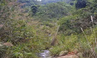 Hãi hùng vùng đất cứ đẻ sinh đôi thì giết một bé cúng Giàng