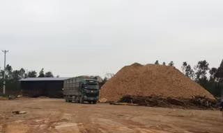 Tháo dỡ 26 cơ sở băm dăm gỗ không phép