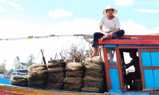 Ngư dân sử dụng ngư lưới cụ thô sơ khai thác ven biển Tây Nam Cà Mau 