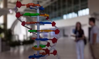Phụ huynh phải nộp xét nghiệm DNA của con để ngăn 'chạy' trường