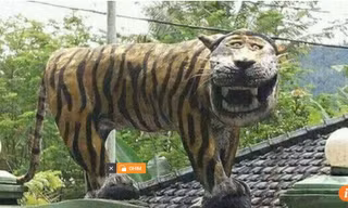 Tượng hổ cười xấu lạ đứng ngạo nghễ bên ngoài căn cứ quân sự ở Cisewu, tỉnh Tây Java, Indonesia suốt 6 năm qua