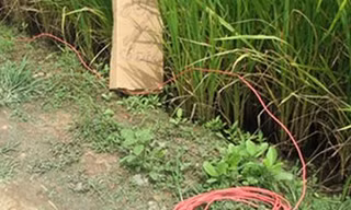 Hai người bị điện giật chết do bất cẩn