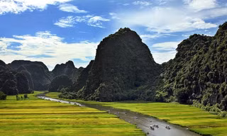 Ngày mùa trên đất cố đô Hoa Lư