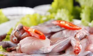 Ngộ độc thực phẩm do độc tố cóc xảy ra do ăn thịt cóc bị nhiễm độc tố (nhựa cóc, gan, mật bị dập nát dính trên thịt cóc) và có trường hợp do ăn gan, trứng cóc. Ảnh: Internet