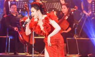 Sau hơn 10 năm ở ẩn, Hồ Quỳnh Hương bây giờ ra sao?