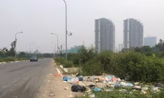 Hố trồng cây trên đường 'trăm tỷ' ở Hà Nội biến thành bãi rác