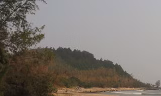 Đường ra biển lớn