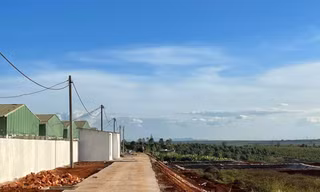 Trang trại chăn nuôi heo của Công ty Lơ Pang