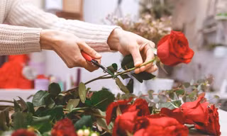 Giữ hoa hồng tươi lâu hơn nhờ 4 mẹo nhỏ này, cực đơn giản ai cũng có thể làm được!