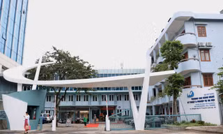 Chuyển 15 trường cao đẳng, trung cấp khỏi Bộ Xây dựng