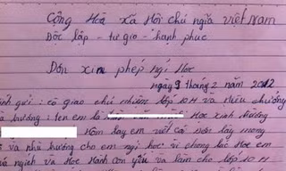 Những lá đơn siêu 'dị' của học sinh