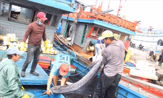 Xong chuyến biển này, mọi người sẽ về quê đón Tết cùng gia đình. Ảnh: T.T