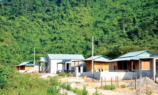 Làng Thanh niên lập nghiệp Thạnh Mỹ những ngày đầu mới thành lập. - Ảnh: Nguyễn Thành