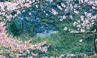 Mùa xuân Tây Bắc