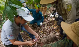 Khi cây đẳng sâm được trồng và khai thác hợp lý, đời sống của người dân ở xã Gary (huyện Tây Giang, tỉnh Quảng Nam) được cải thiện rõ rệt. Ảnh: Giang Thanh