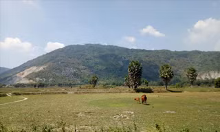 Cánh đồng khô cằn ở huyện Tri Tôn (An Giang) ẢNH: HÒA HỘI