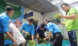 Thanh niên quận 3 tạo dựng mảng xanh tại cơ quan
