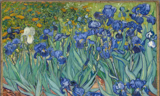 Bức “Hoa diên vỹ” Van Gogh vẽ năm 1889 và được bán năm 1987 với giá 53,9 triệu USD. Ảnh: Bảo tàng J. Paul Getty