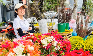 Phố phường Đà Nẵng rực rỡ sắc hoa đón Tết