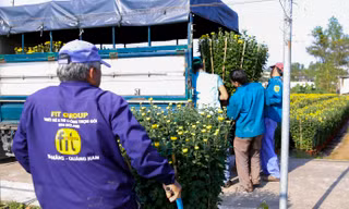 Làng hoa lớn nhất Đà Nẵng rộn ràng ngày giáp Tết