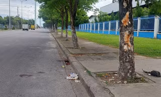Xe máy đâm vào gốc cây, 3 thiếu nữ tử vong