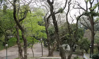 Vườn sưa đỏ trong công viên Bách Thảo